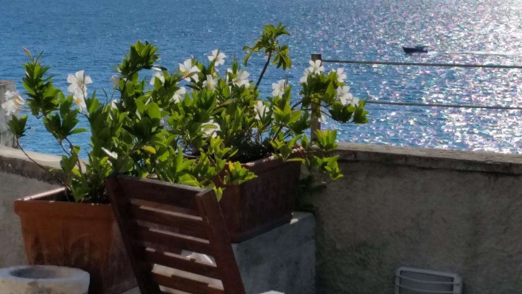 Le Sirene Bed & Breakfast Tellaro Exterior foto